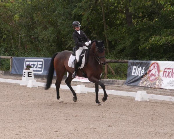 Reitturnier Leonberg 2024