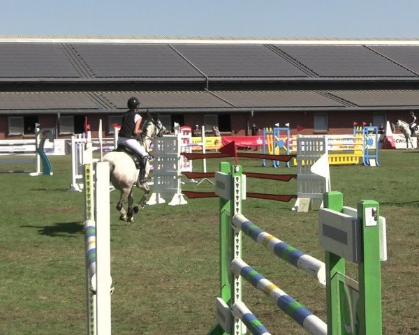 Reitturnier Münchehofe 2024