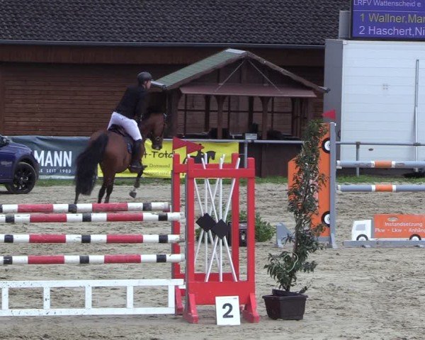 Reitturnier Dortmund-Barop 2024