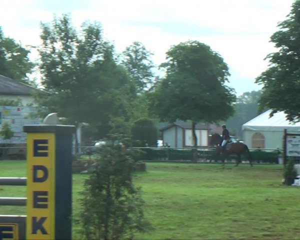 Verler Sommerturnier 2013