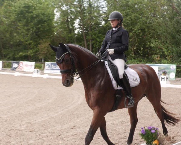 Reitturnier Leonberg 2024