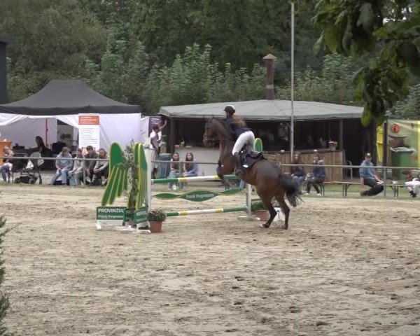 Reitturnier Meinerzhagen 2024
