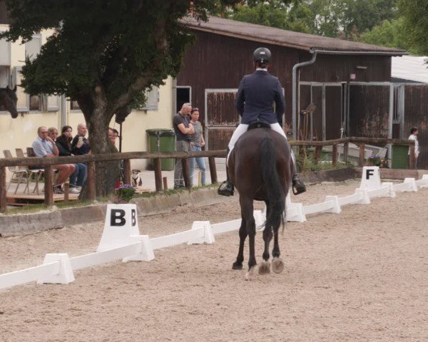 Reitturnier Leonberg 2024