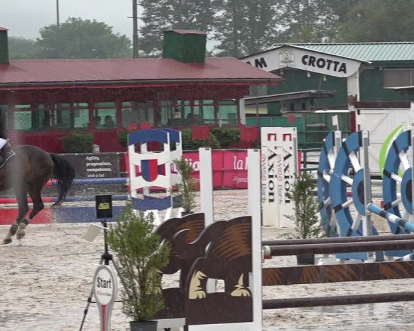 Reitturnier Giubiasco 2024