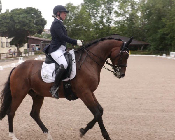 Reitturnier Leonberg 2024
