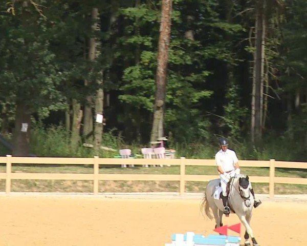 Reitturnier Tiefenhof/Opf. 2024