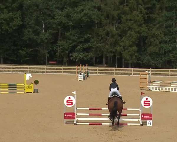 Reitturnier Tiefenhof/Opf. 2024