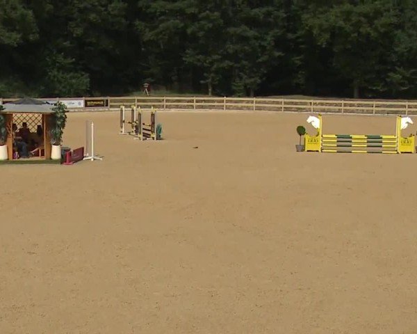Reitturnier Tiefenhof/Opf. 2024