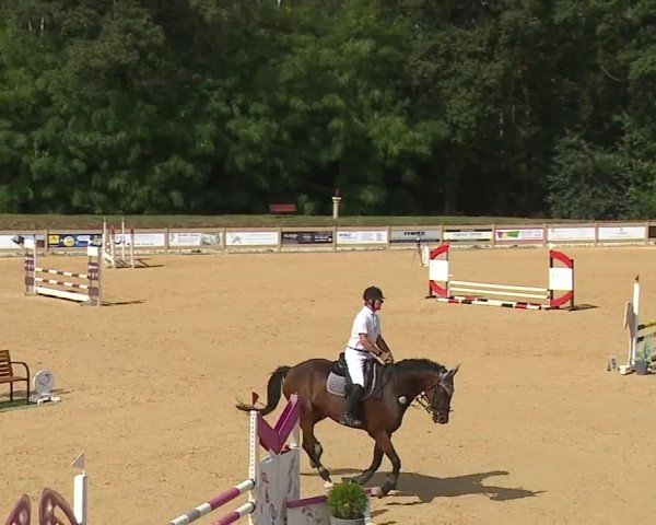Reitturnier Tiefenhof/Opf. 2024