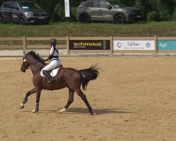 Reitturnier Tiefenhof/Opf. 2024