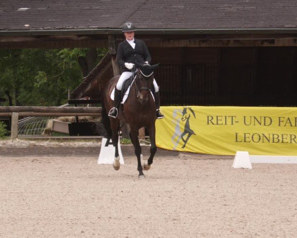 Reitturnier Leonberg 2024