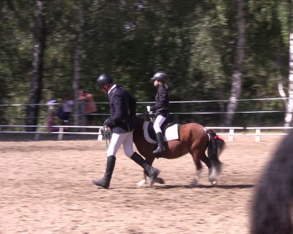 Reitturnier Lgl.-Oberhain, B95 2024