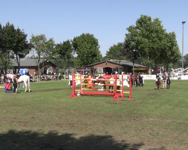 Reitturnier Münchehofe 2024