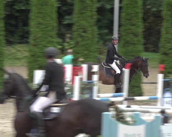 Reitturnier Meinerzhagen 2024
