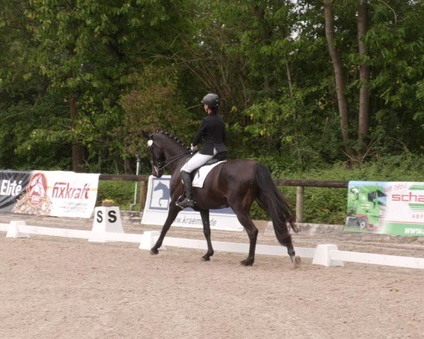 Reitturnier Leonberg 2024