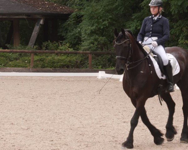 Reitturnier Leonberg 2024