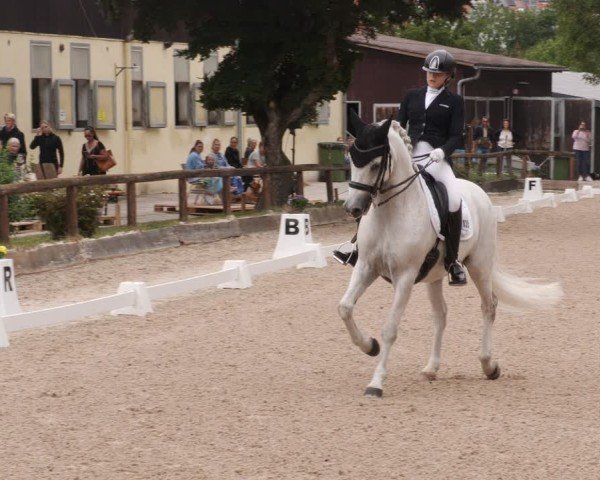 Reitturnier Leonberg 2024