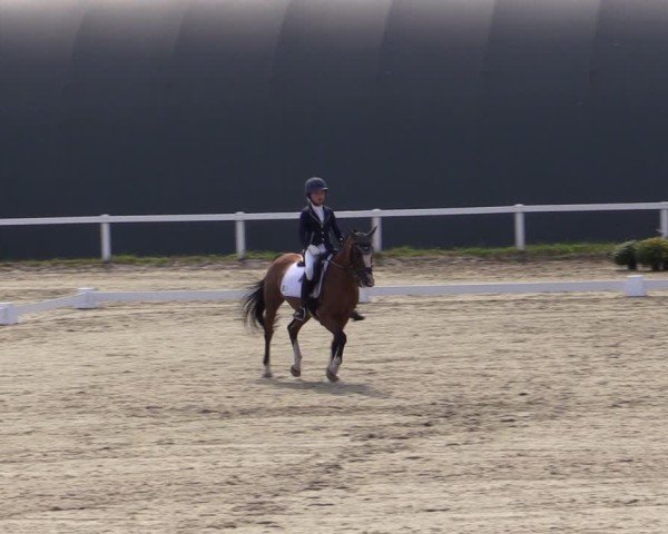 Reitturnier Bad Schmiedeberg 2024
