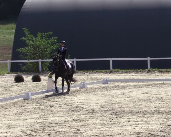 Reitturnier Bad Schmiedeberg 2024