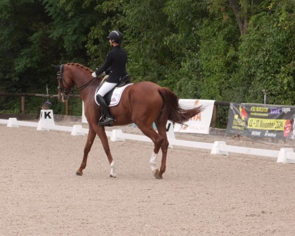 Reitturnier Leonberg 2024