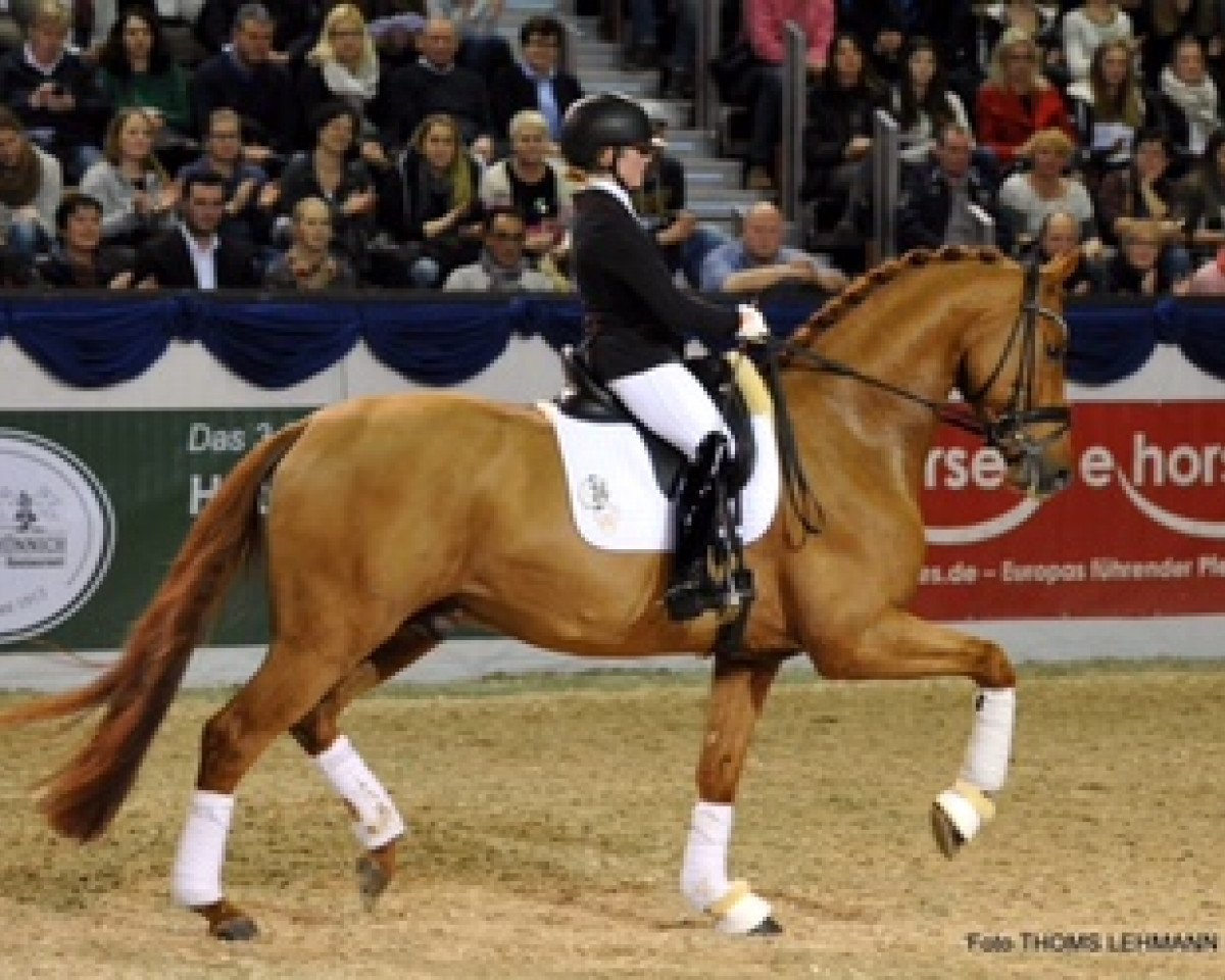 dressage horse Rosendiamant (Westphalian, 2013, from Rohjuwel OLD)