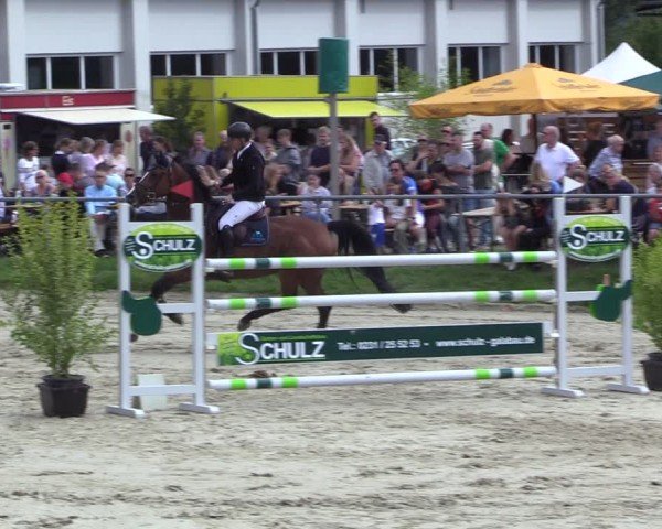Reitturnier Dortmund-Barop 2024