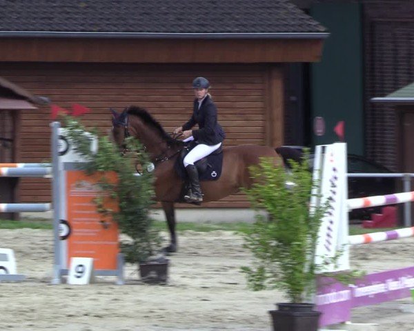 Reitturnier Dortmund-Barop 2024
