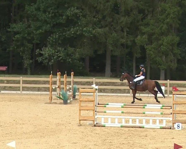 Reitturnier Tiefenhof/Opf. 2024