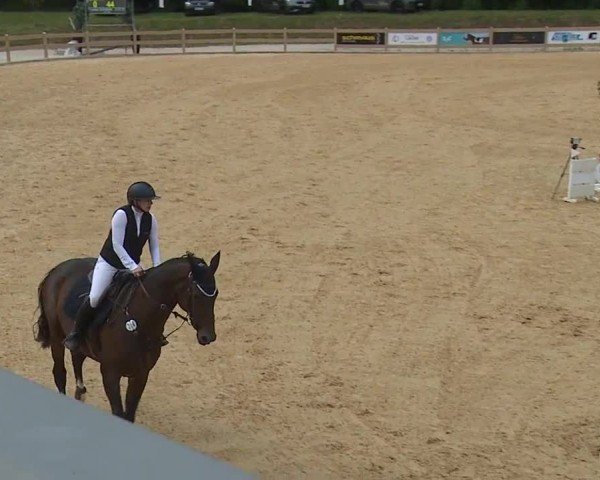 Reitturnier Tiefenhof/Opf. 2024