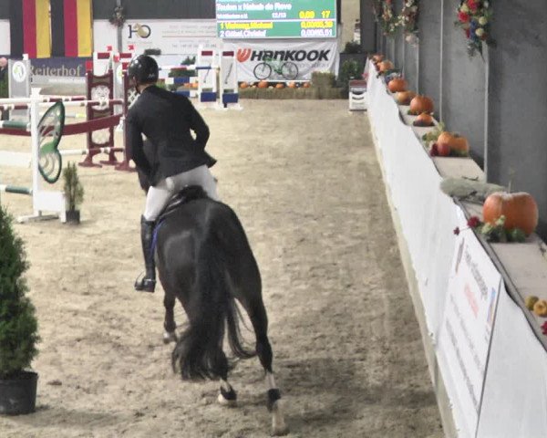 Reitturnier Karlsfeld/Obb. 2021