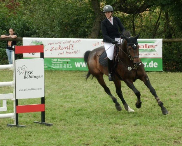 Reitturnier Leonberg 2024