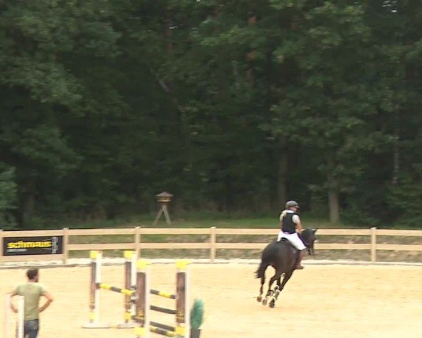 Reitturnier Tiefenhof/Opf. 2024