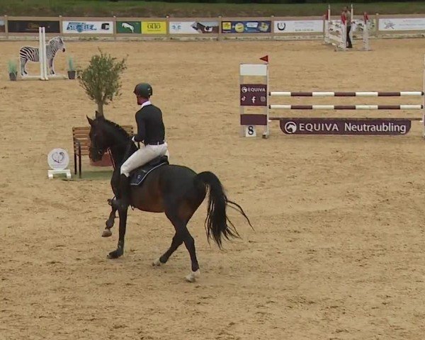 Reitturnier Tiefenhof/Opf. 2024
