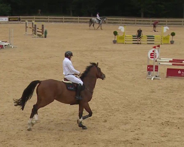 Reitturnier Tiefenhof/Opf. 2024