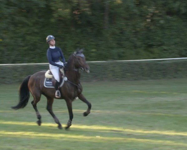 Reitturnier Westeregeln 2024