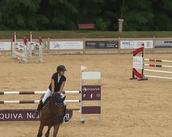 Reitturnier Tiefenhof/Opf. 2024