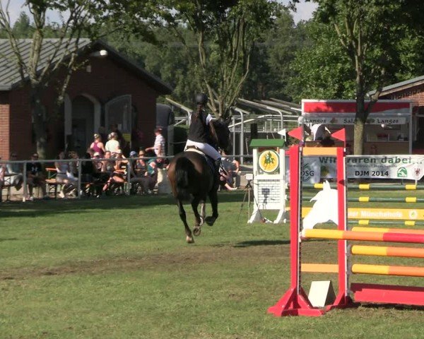 Reitturnier Münchehofe 2024