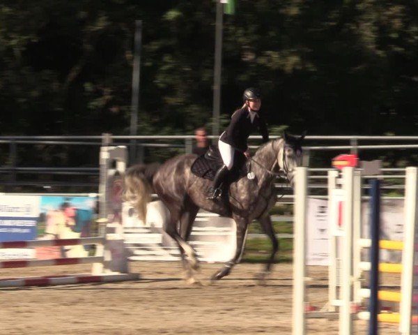 Reitturnier Lgl.-Oberhain, B95 2024