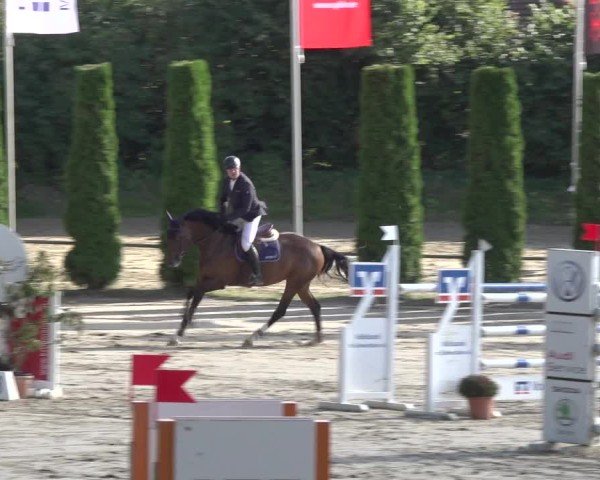 Reitturnier Meinerzhagen 2024