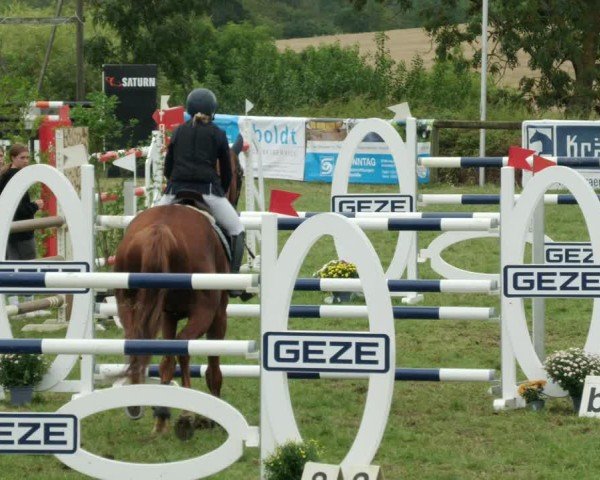 Reitturnier Leonberg 2024