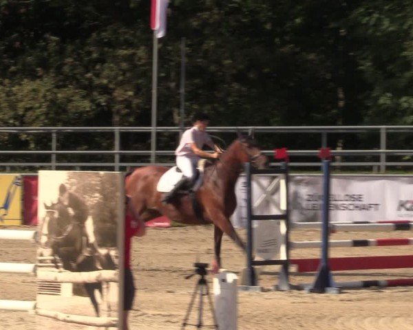 Reitturnier Lgl.-Oberhain, B95 2024