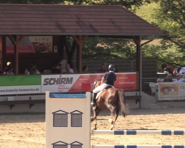 Reitturnier Lgl.-Oberhain, B95 2024