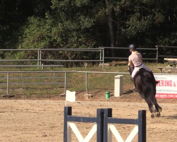 Reitturnier Lgl.-Oberhain, B95 2024