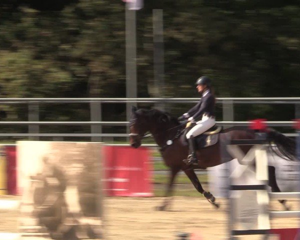 Reitturnier Lgl.-Oberhain, B95 2024