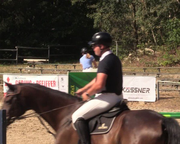 Reitturnier Lgl.-Oberhain, B95 2024