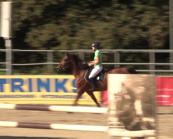 Reitturnier Lgl.-Oberhain, B95 2024