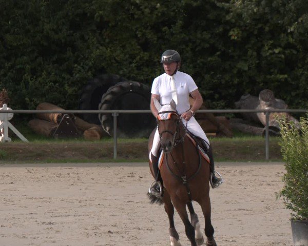 Reitturnier Appelhülsen 2024