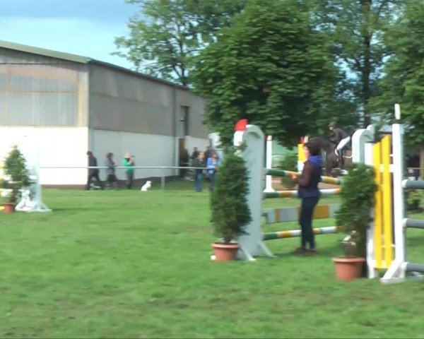 Verler Sommerturnier 2013