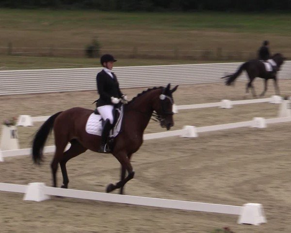 Reitturnier Bad Schmiedeberg 2024
