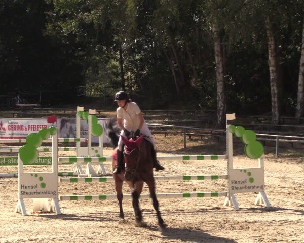 Reitturnier Lgl.-Oberhain, B95 2024